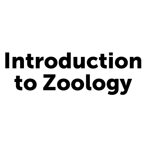 Introductory Zoology