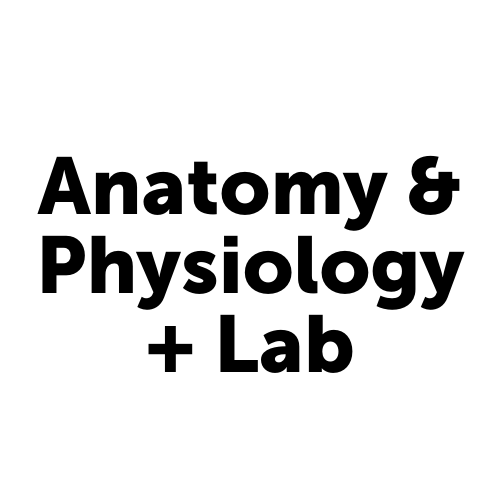 Anatomy & Physiology + Lab